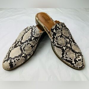 Indigo Snakeskin Pattern Women's Mules
